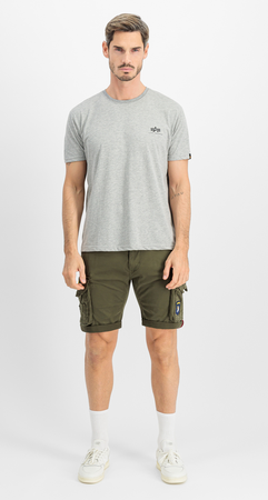 Koszulka Alpha Industries Basic T-Shirt SL szara