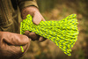 Linka 550 Paracord (30m) - Xanthoria