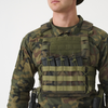 Plate Carrier Guardian Military Set wz. 93