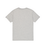 Koszulka Alpha Industries Basic T-Shirt SL szara