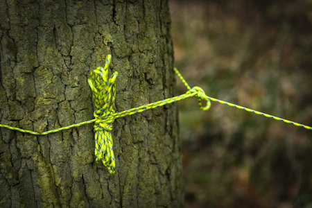 Linka 550 Paracord (30m) - Xanthoria