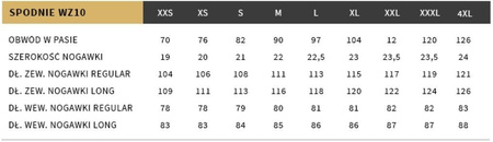 Spodnie WZ10 Texar Ripstop PL Camo wz93