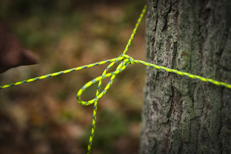 Linka 550 Paracord (30m) - Xanthoria