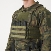 Plate Carrier Guardian Military Set wz. 93