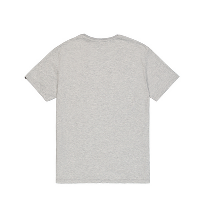 Koszulka Alpha Industries Basic T-Shirt SL szara