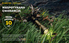 Latarka taktyczna myśliwska Armytek Dobermann Pro Magnet USB Warm Olive